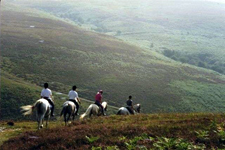 England-England-Exmoor National Park Ride